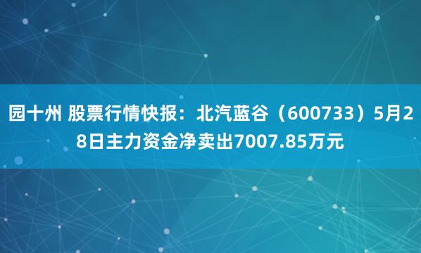 园十州 股票行情快报：北汽蓝谷（600733）5月28日主力资金净卖出7007.85万元