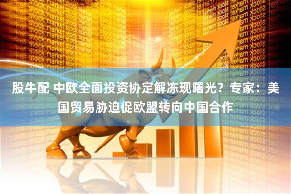 股牛配 中欧全面投资协定解冻现曙光？专家：美国贸易胁迫促欧盟转向中国合作