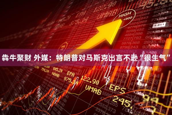 犇牛聚财 外媒：特朗普对马斯克出言不逊“很生气”