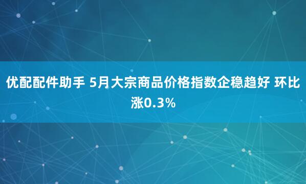 优配配件助手 5月大宗商品价格指数企稳趋好 环比涨0.3%