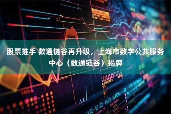 股票推手 数通链谷再升级，上海市数字公共服务中心（数通链谷）揭牌