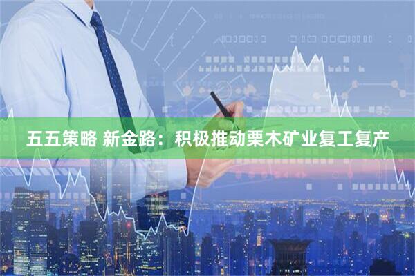 五五策略 新金路：积极推动栗木矿业复工复产