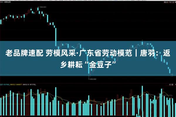 老品牌速配 劳模风采·广东省劳动模范｜唐羽：返乡耕耘“金豆子”