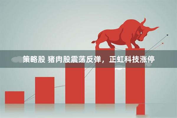 策略股 猪肉股震荡反弹，正虹科技涨停