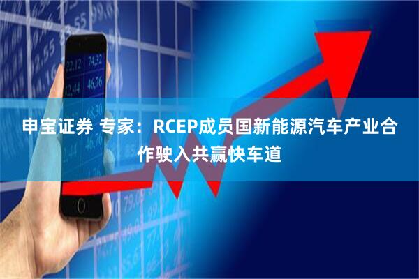 申宝证券 专家：RCEP成员国新能源汽车产业合作驶入共赢快车道