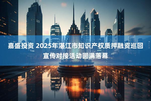 嘉盛投资 2025年湛江市知识产权质押融资巡回宣传对接活动圆满落幕