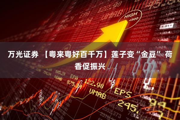 万光证券 【粤来粤好百千万】莲子变“金豆” 荷香促振兴