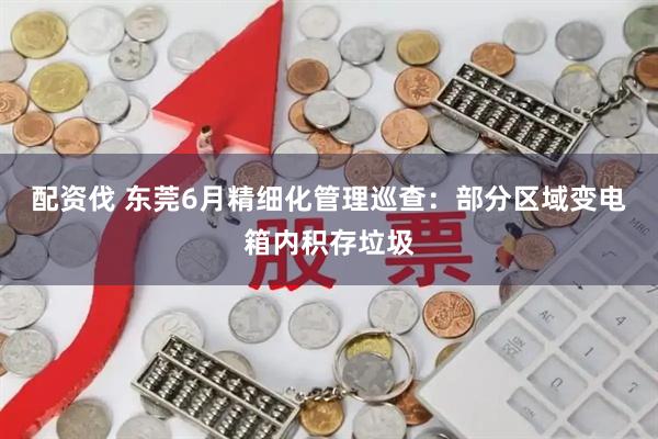 配资伐 东莞6月精细化管理巡查：部分区域变电箱内积存垃圾