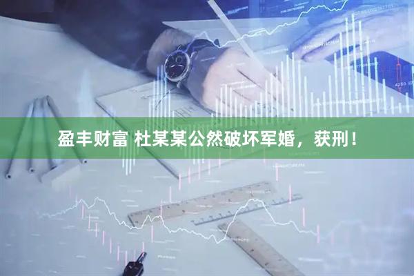 盈丰财富 杜某某公然破坏军婚，获刑！