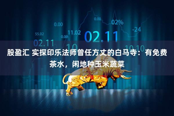 股盈汇 实探印乐法师曾任方丈的白马寺：有免费茶水，闲地种玉米蔬菜
