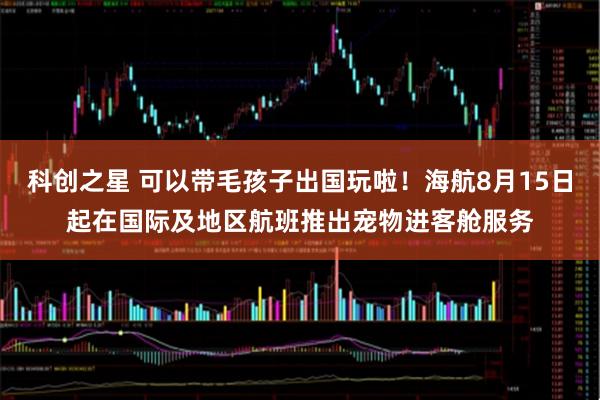 科创之星 可以带毛孩子出国玩啦！海航8月15日起在国际及地区航班推出宠物进客舱服务
