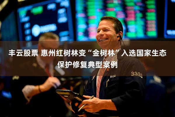 丰云股票 惠州红树林变“金树林”入选国家生态保护修复典型案例