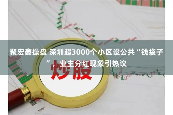 聚宏鑫操盘 深圳超3000个小区设公共“钱袋子”，业主分红现象引热议