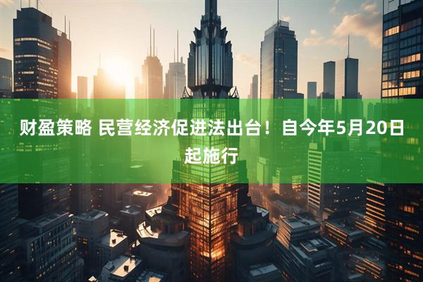 财盈策略 民营经济促进法出台！自今年5月20日起施行