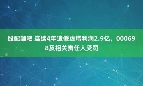 股配咖吧 连续4年造假虚增利润2.9亿,000698及相关责任人受罚